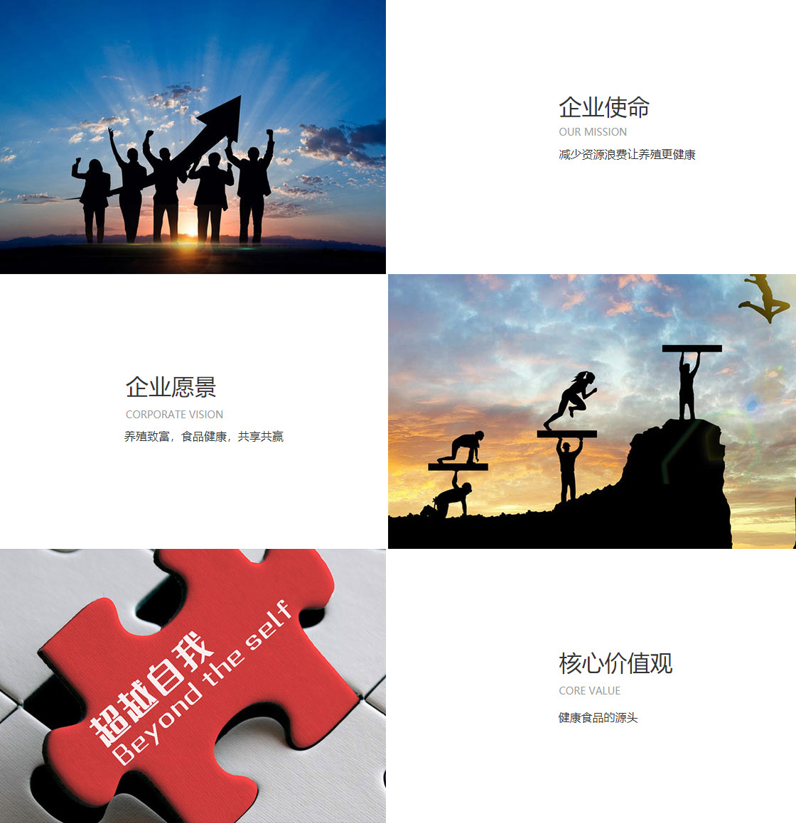 乐动·LDSports(图1)